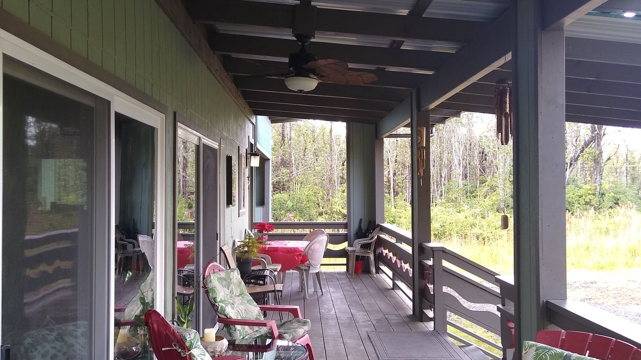 Photo of Outdoor in Fern Forest