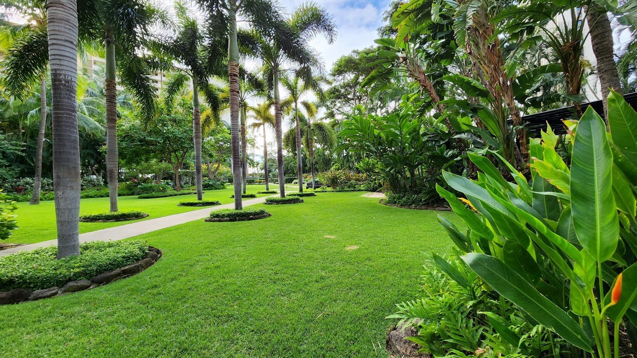 Photo of Others in Waikiki