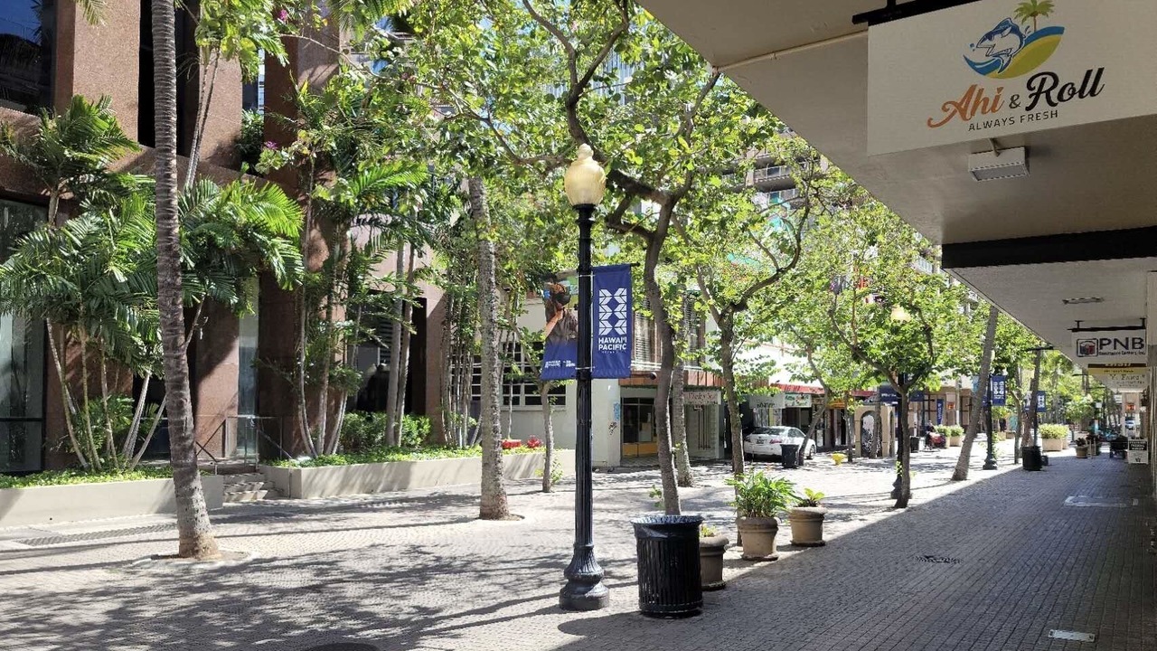 Photo of Others in Downtown Honolulu