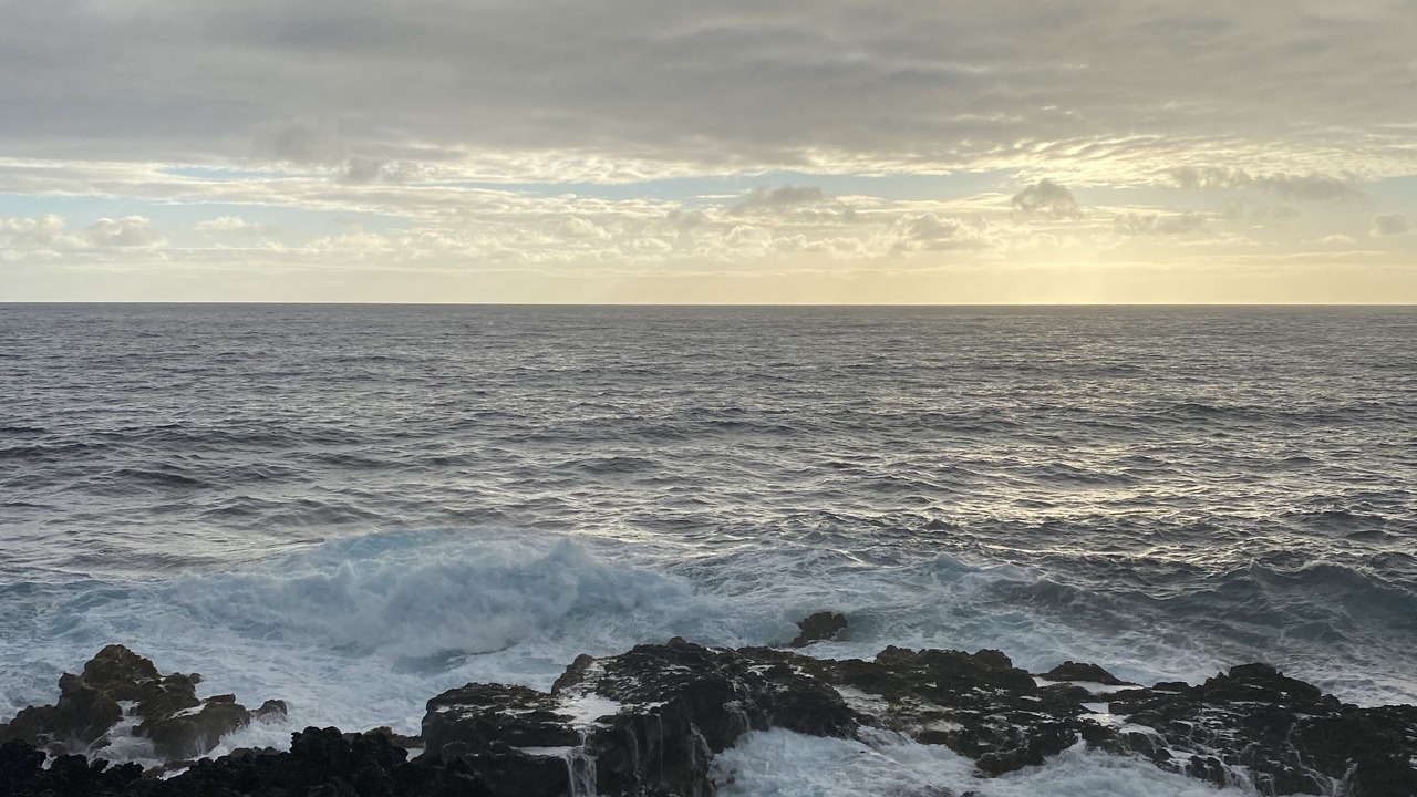 Photo of Others in Kapoho
