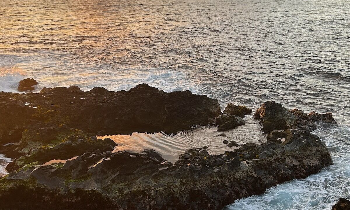 Photo of Others in Kapoho