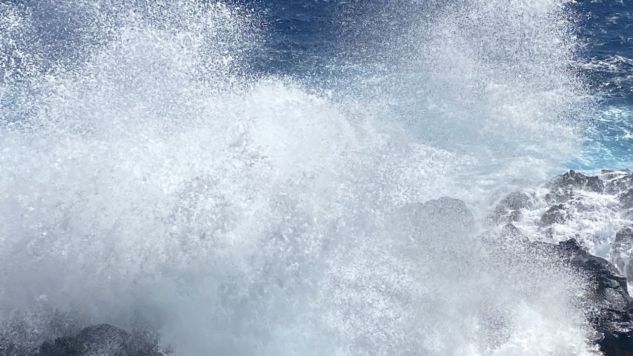 Photo of Others in Kapoho