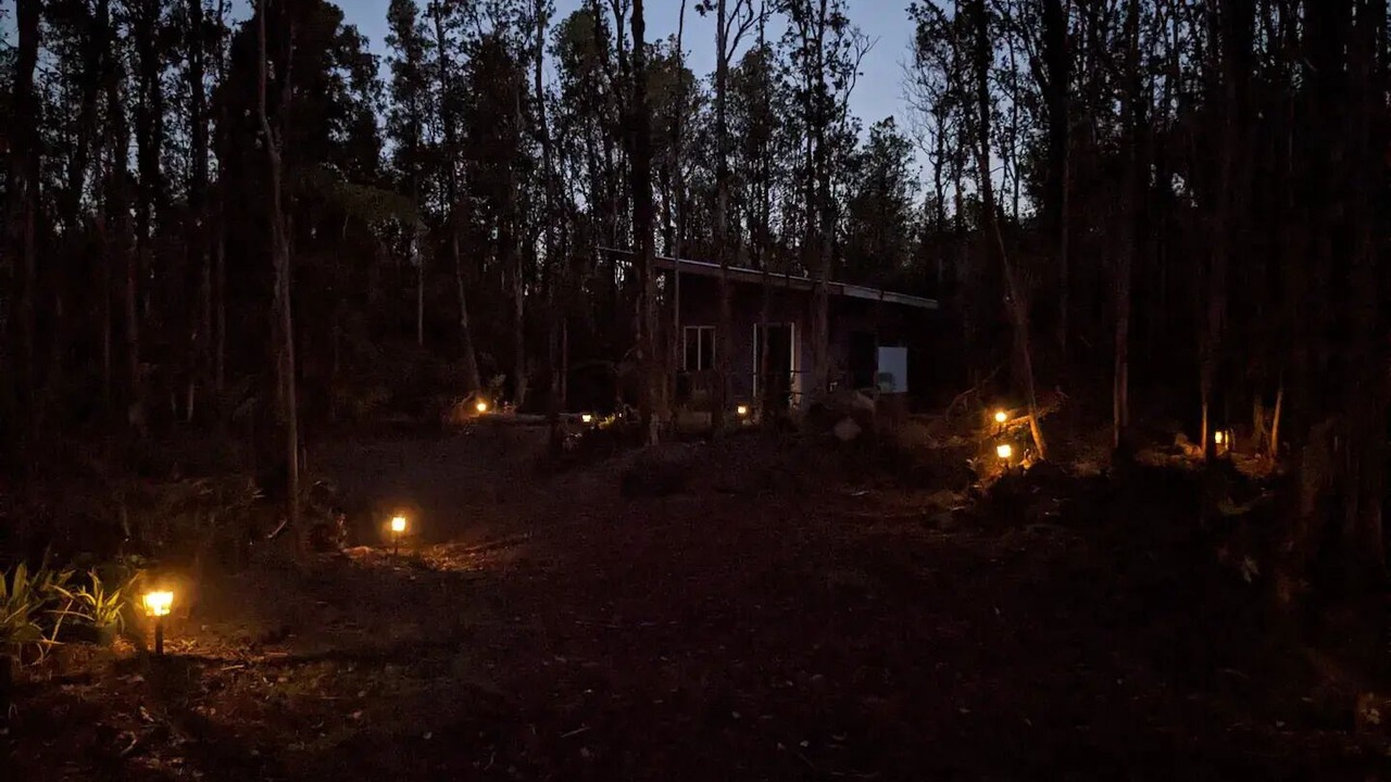 Photo of Others in Fern Forest