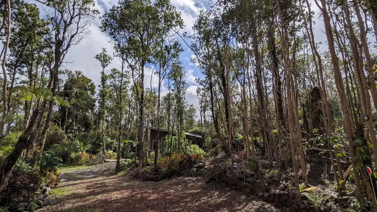 Photo of Others in Fern Forest