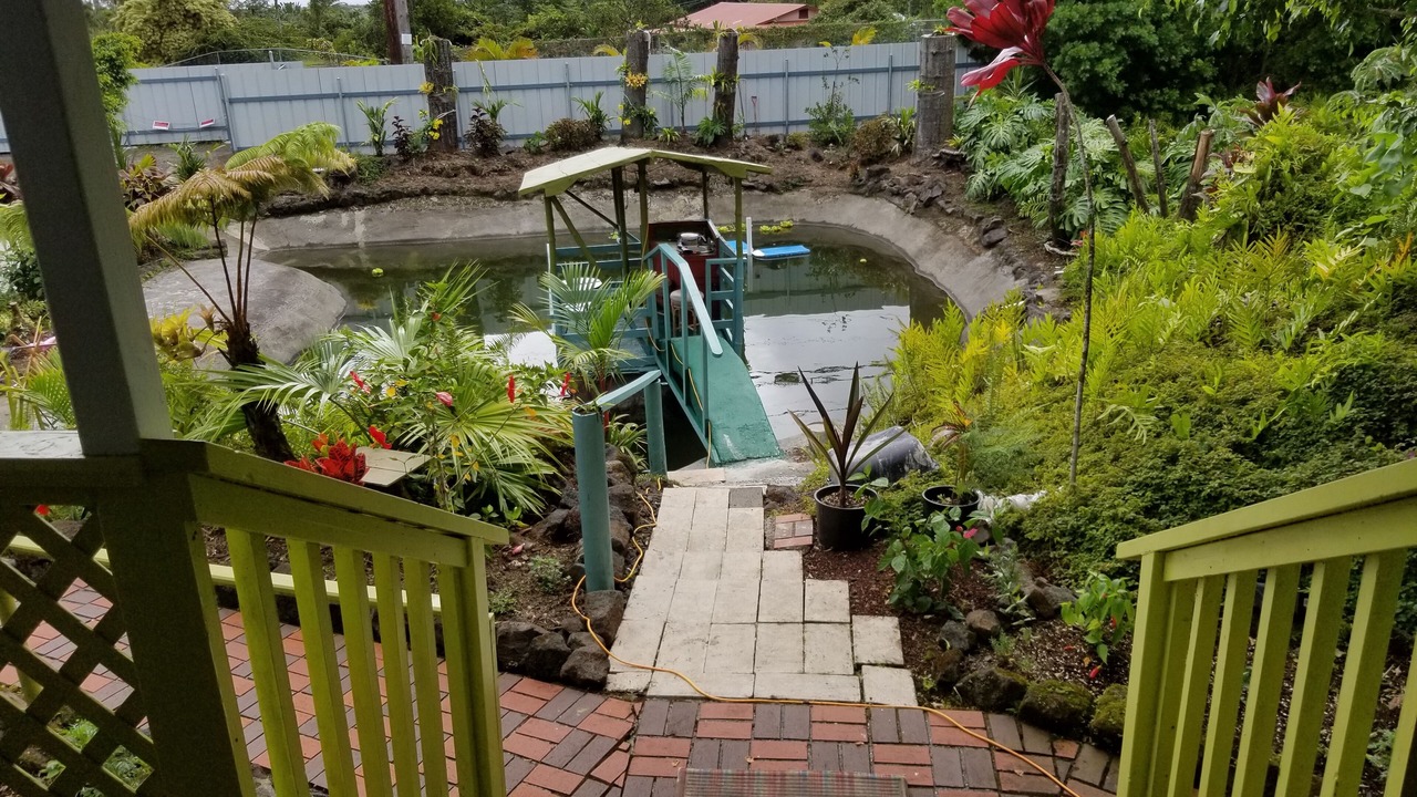 Photo of Outdoor in Keaau