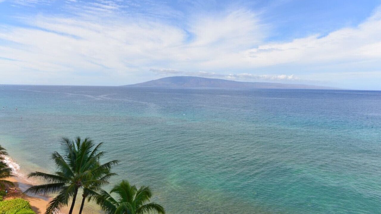 Photo of Others in Honokowai