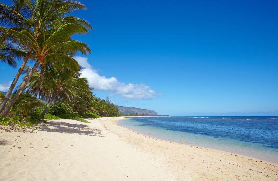 Photo of Others in Mokuleia