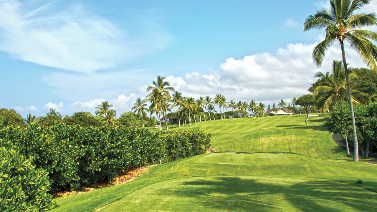 Photo of Others in Keauhou