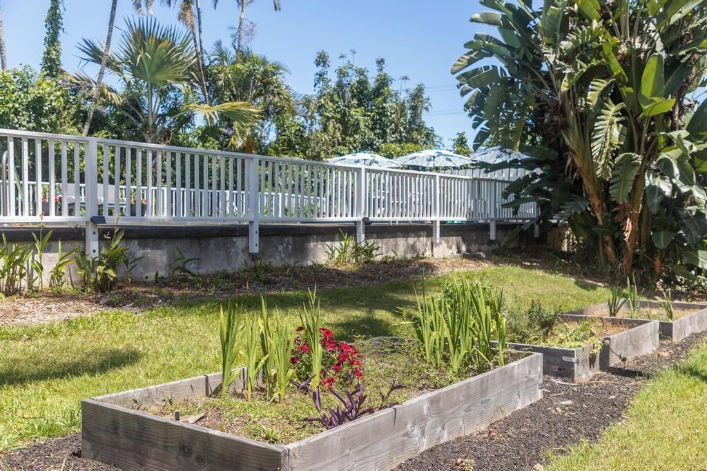 Photo of Outdoor in Hawi