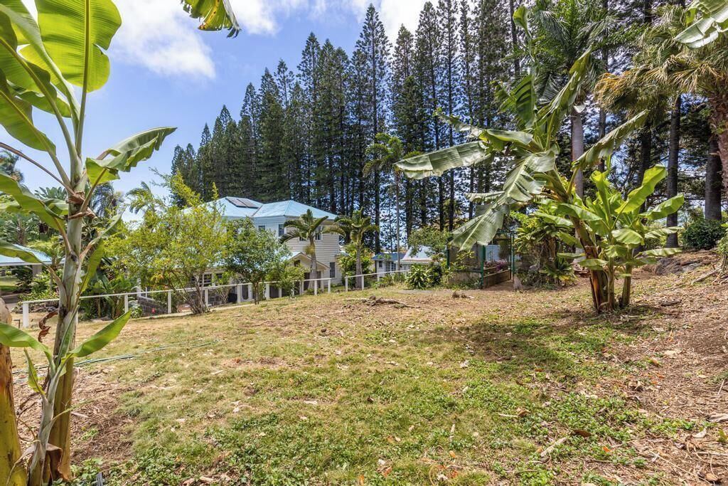 Photo of Outdoor in Hawi