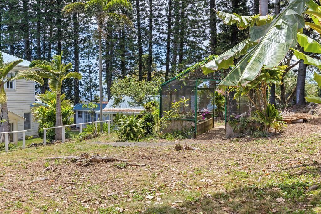 Photo of Outdoor in Hawi