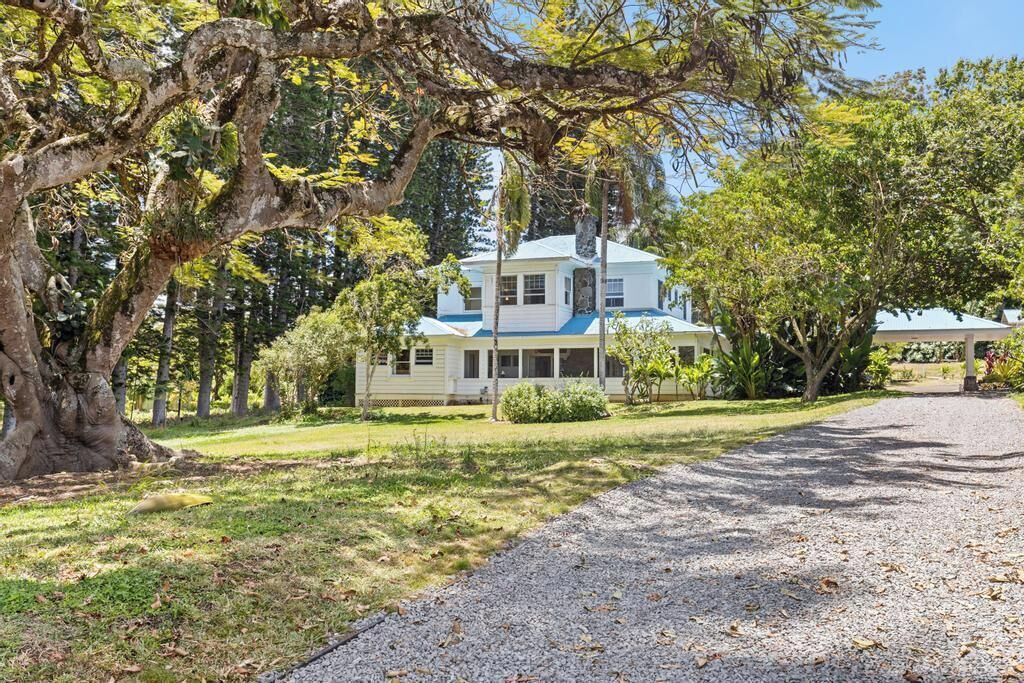 Photo of Outdoor in Hawi