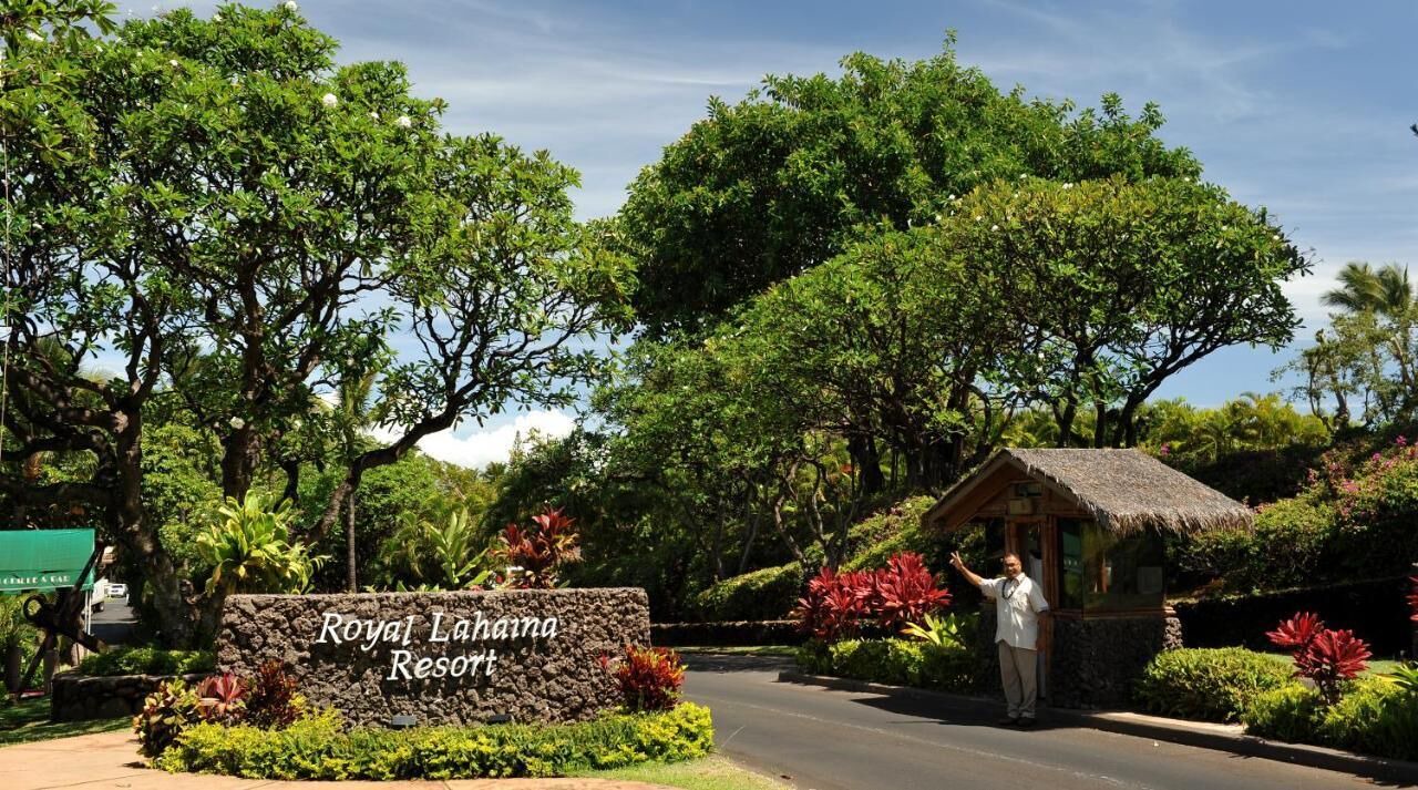 Photo of Others in Kaanapali