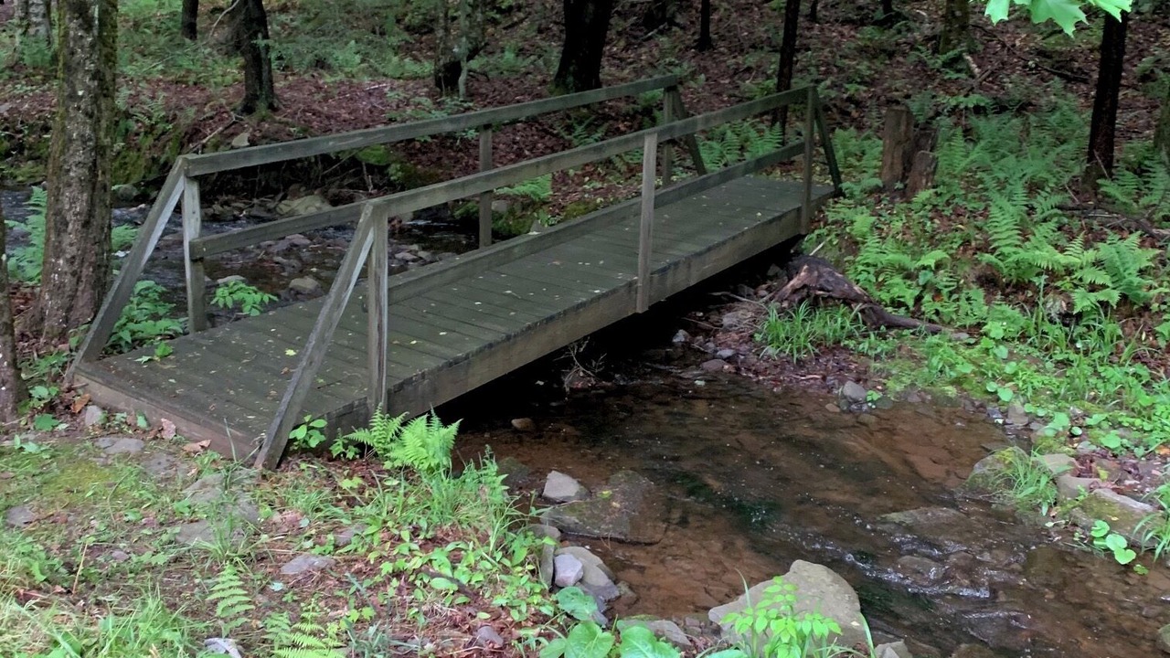 Photo of Others in Livingston Manor