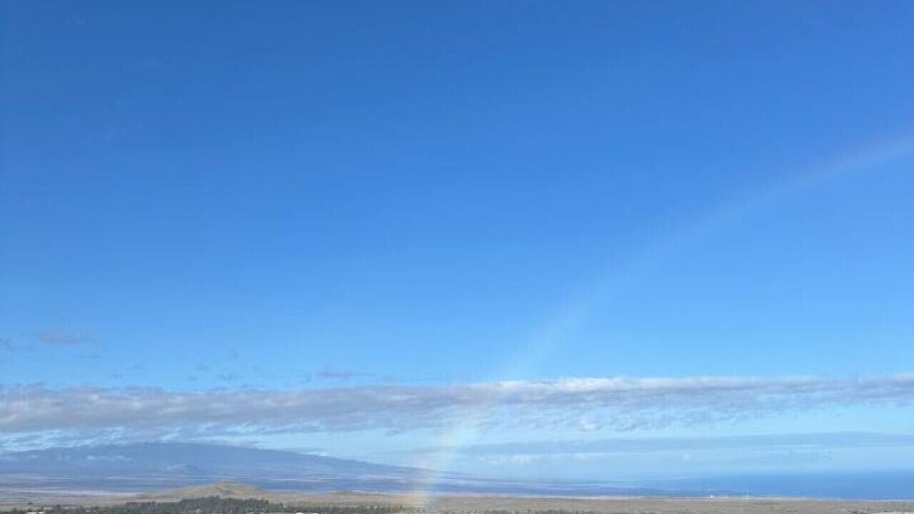 Photo of Others in Waimea