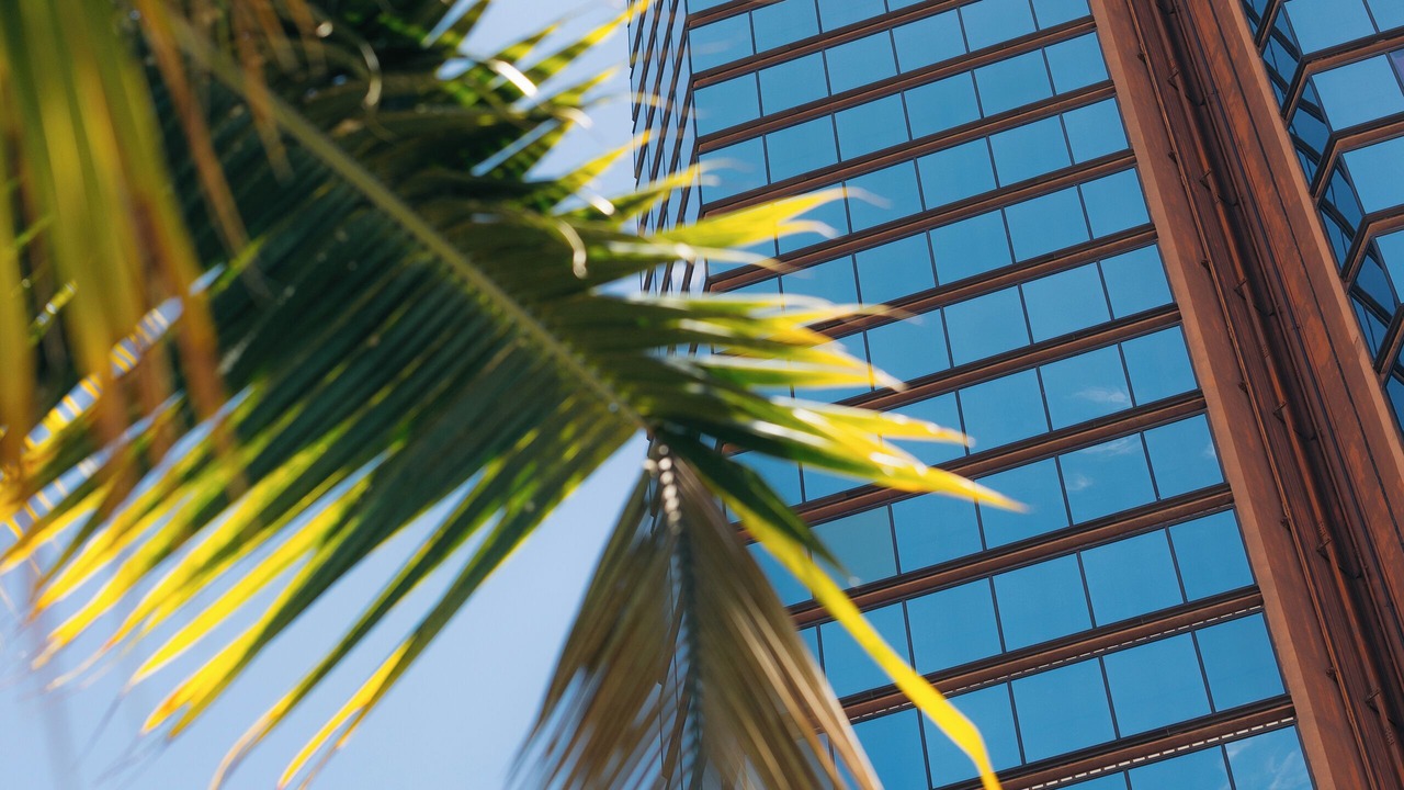 Photo of Outdoor in Downtown Honolulu