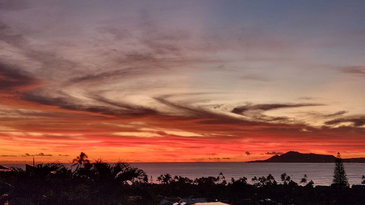 Photo of Others in Portlock