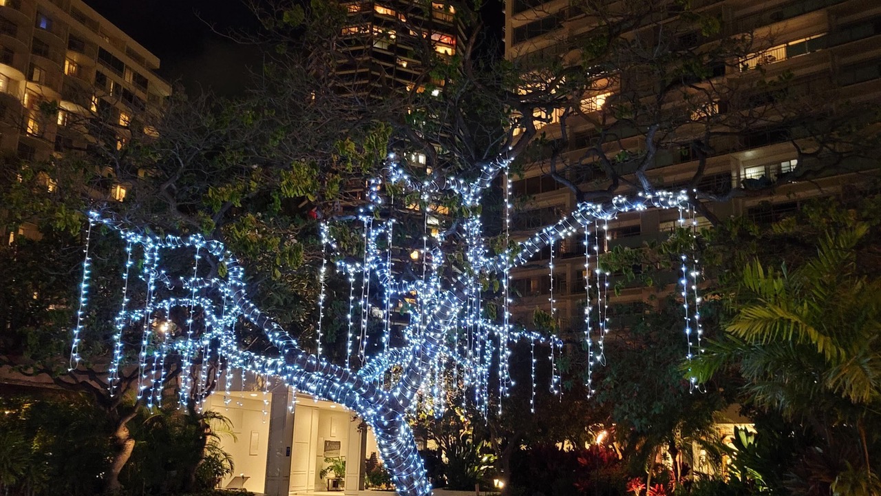 Photo of Outdoor in Waikiki