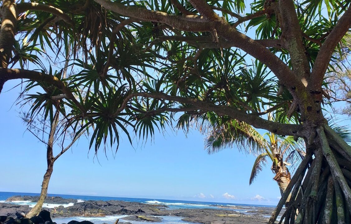 Photo of Others in Keaukaha