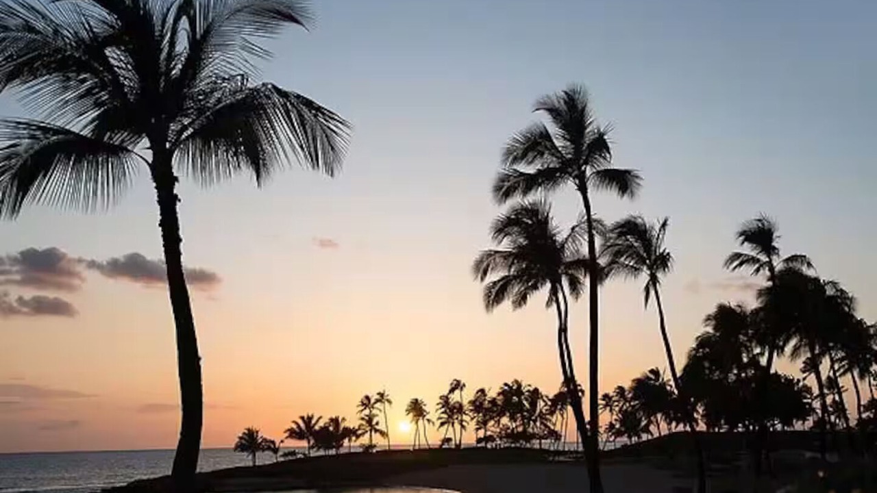 Photo of Others in Ko Olina