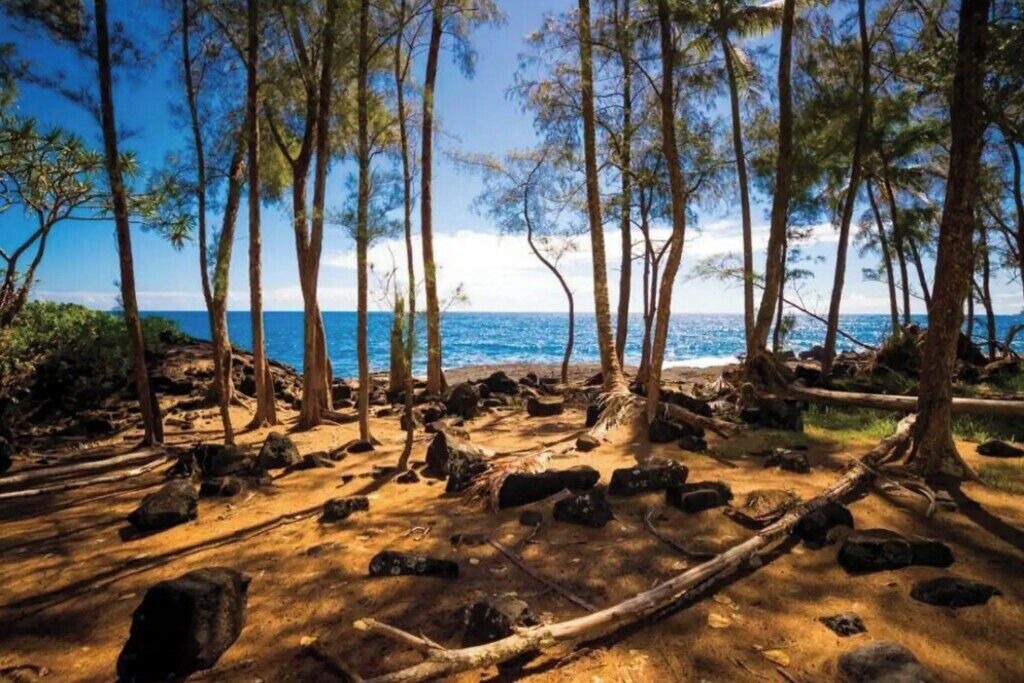 Photo of Others in Keaau