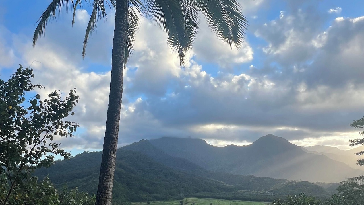 Photo of Others in Princeville