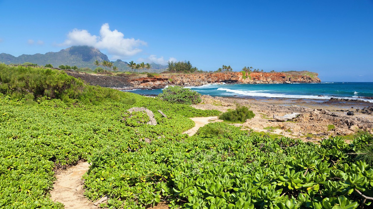 Photo of Others in Poipu