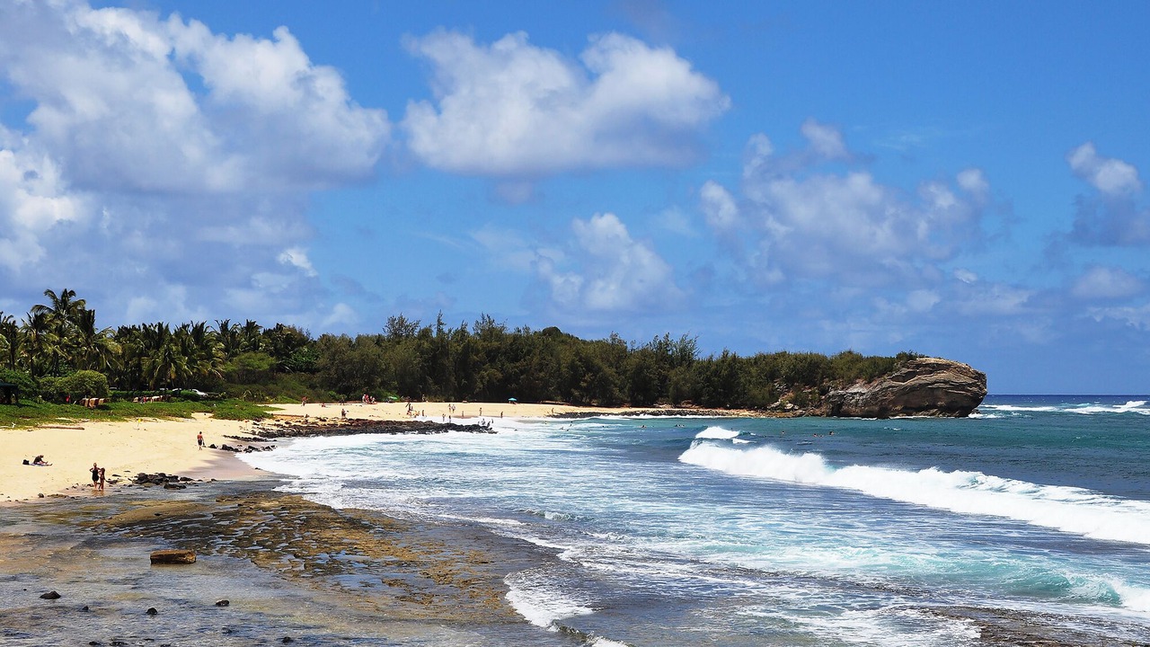 Photo of Others in Poipu