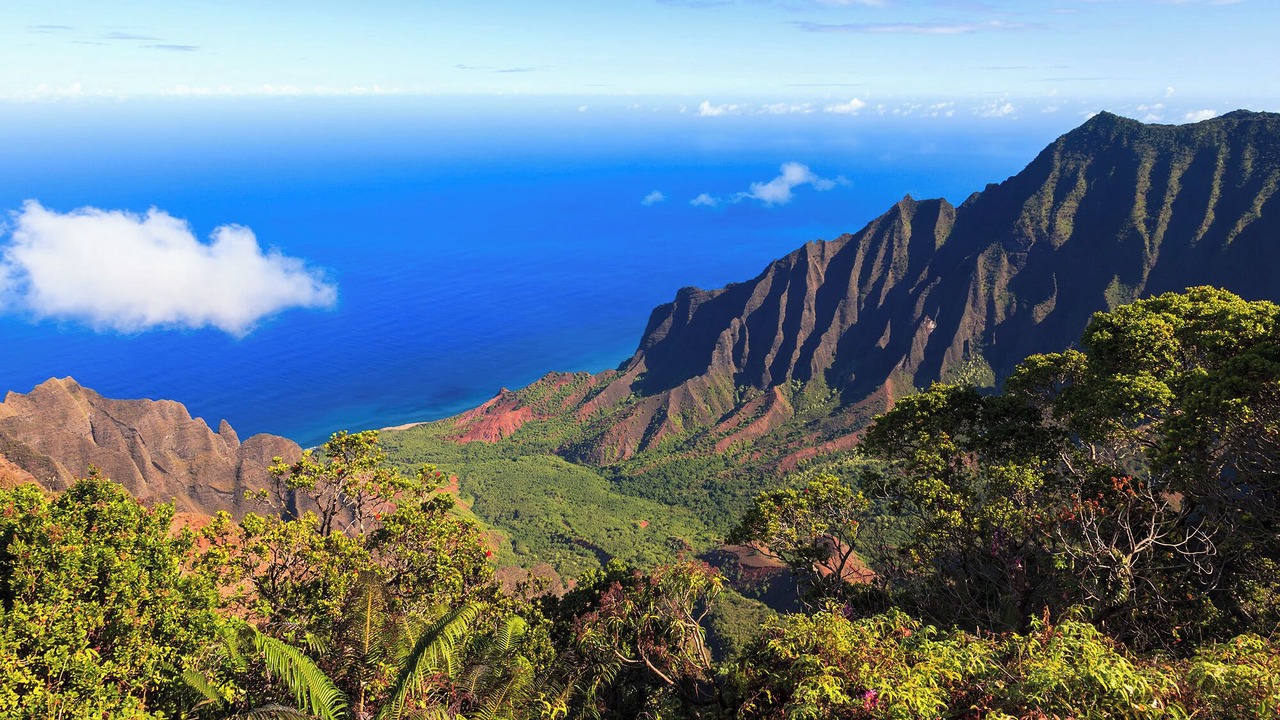 Photo of Others in Poipu
