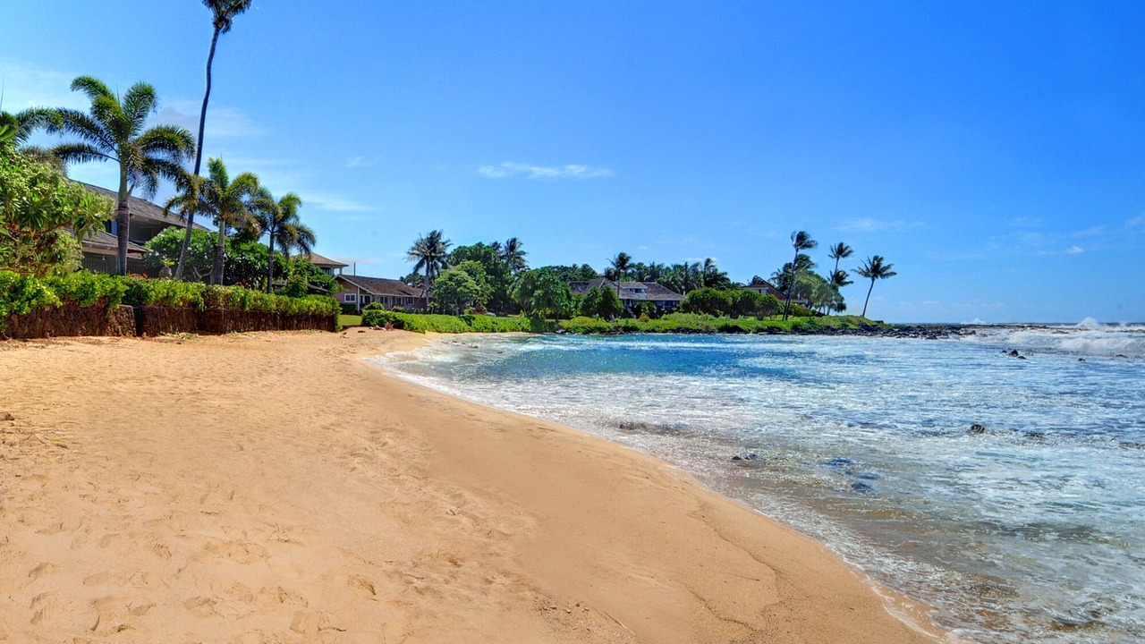 Photo of Others in Poipu