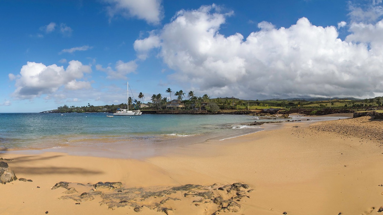 Photo of Others in Poipu