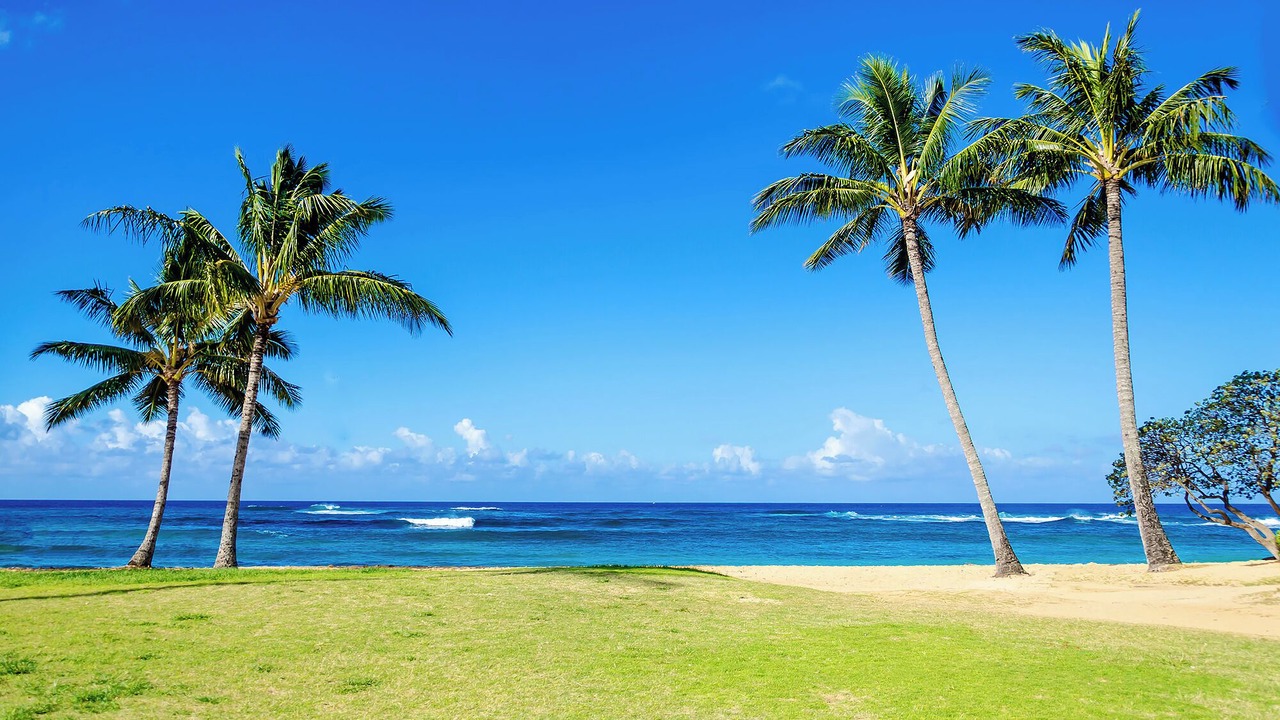 Photo of Others in Poipu
