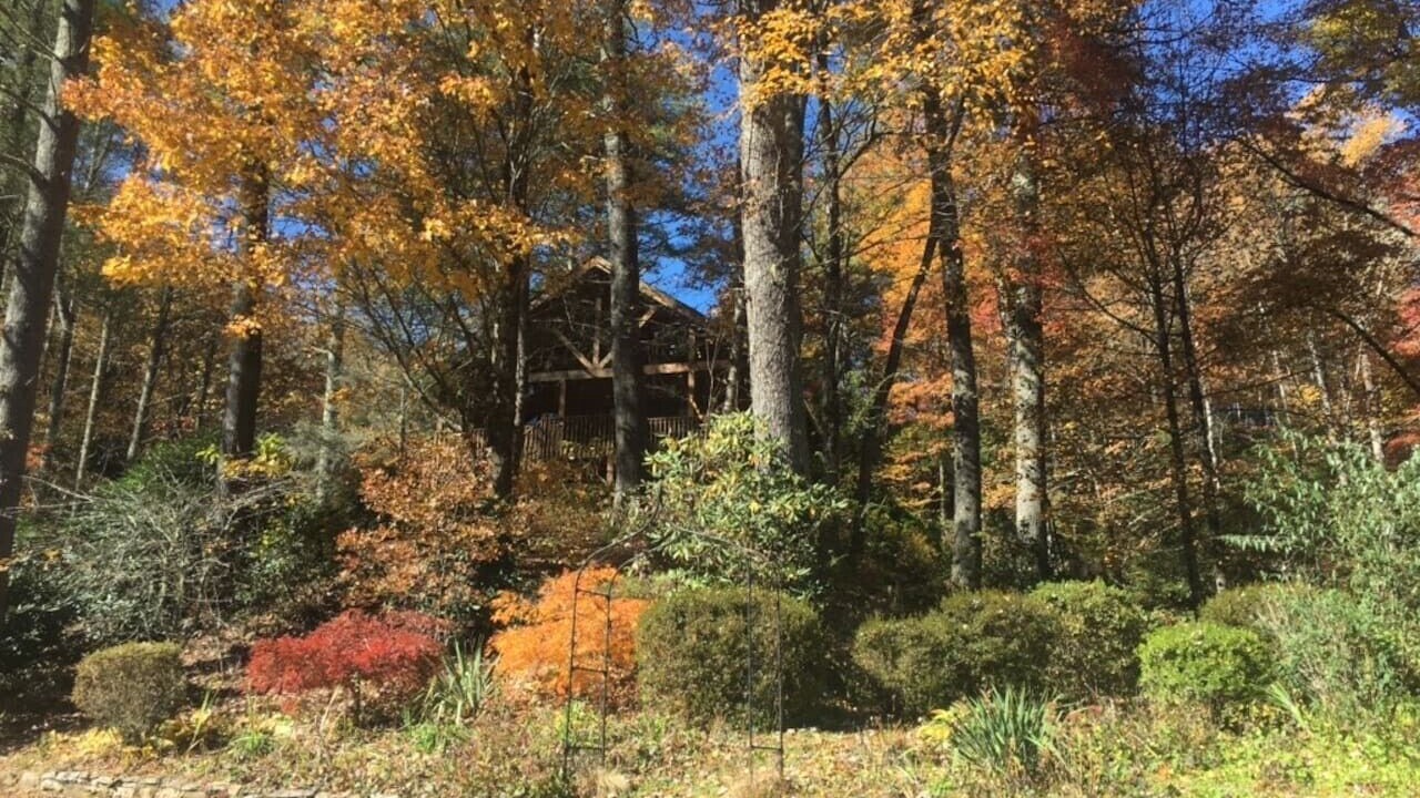 Photo of Outdoor in Brevard