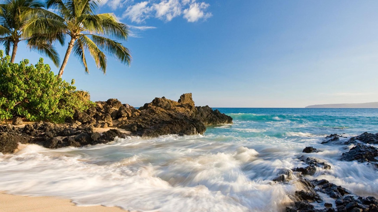 Photo of Others in Kihei