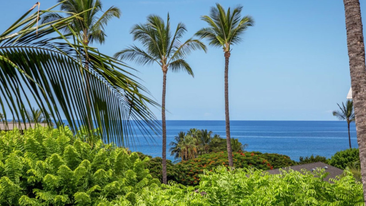 Photo of Others in Kihei