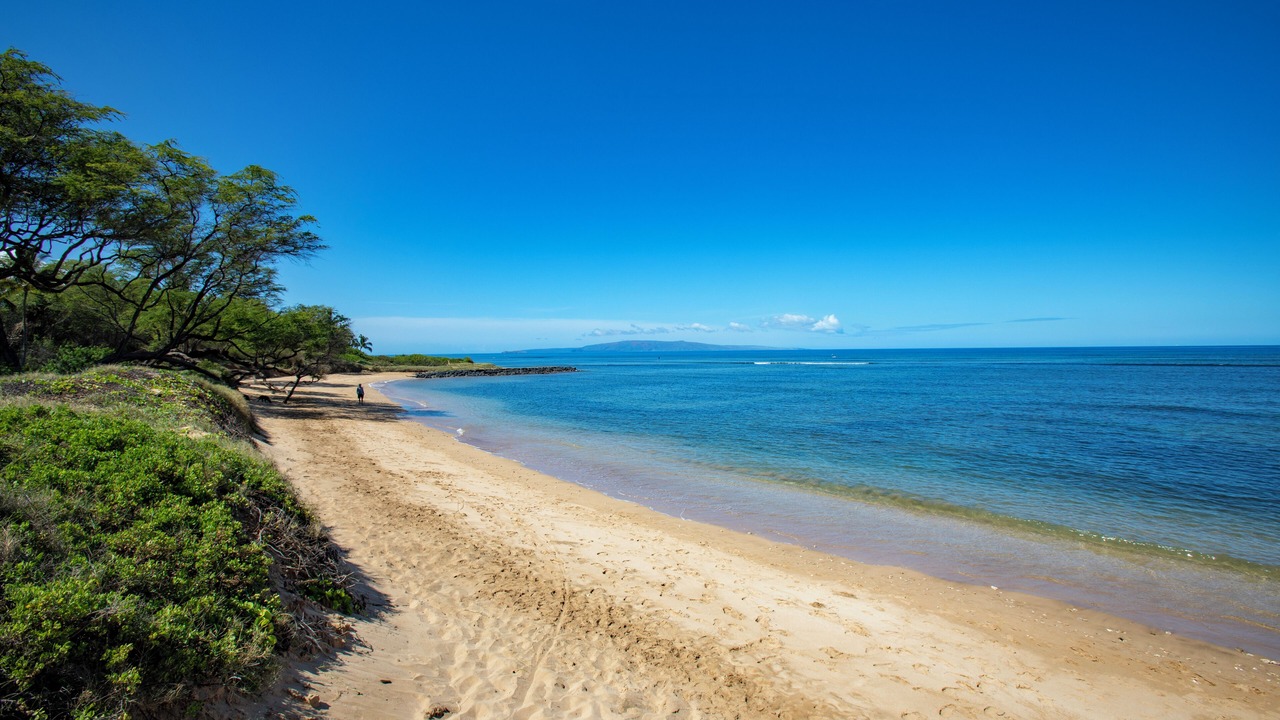 Photo of Others in Kihei