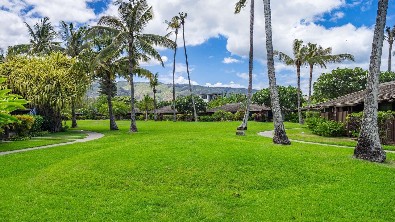 Photo of Outdoor in Waialua