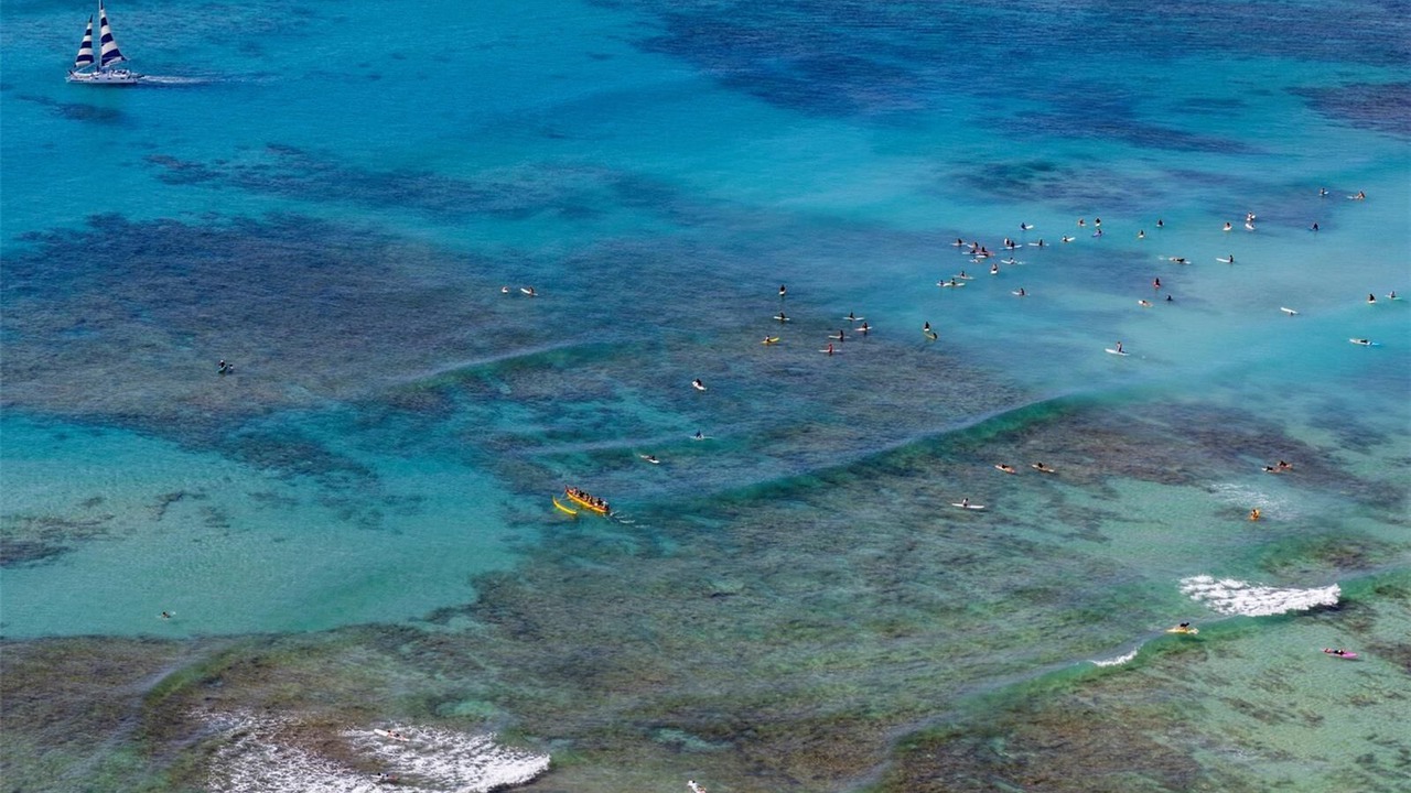 Photo of Others in Honolulu