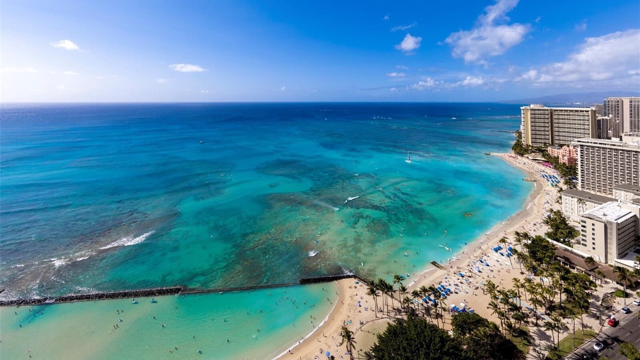 Photo of Others in Honolulu