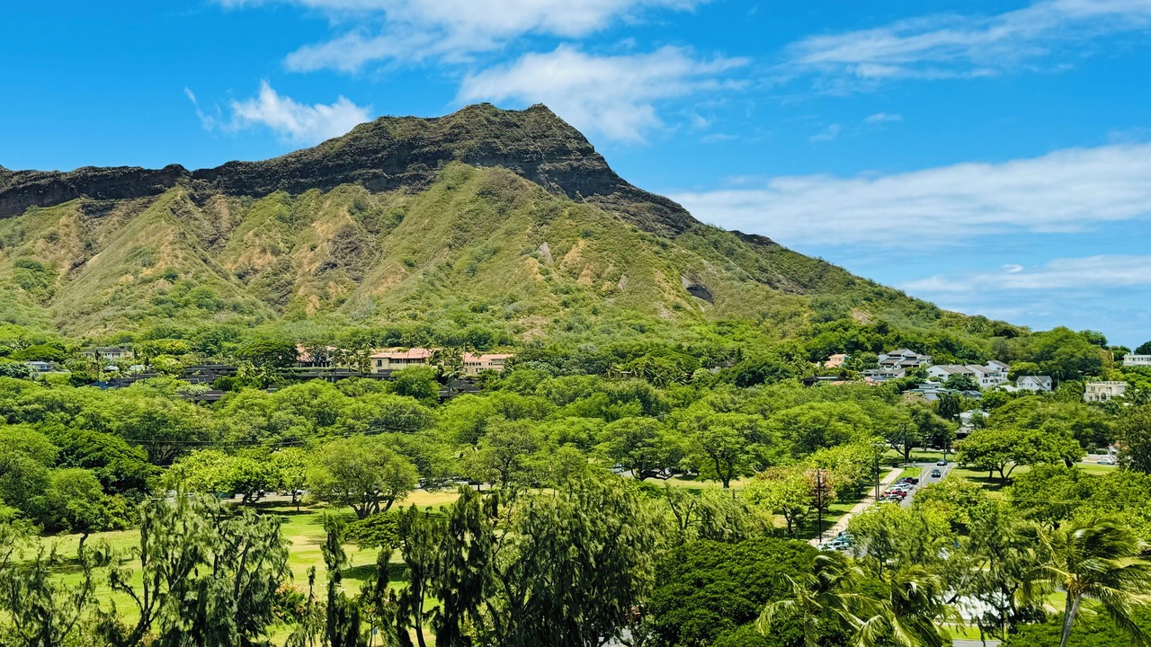 Photo of Others in Honolulu