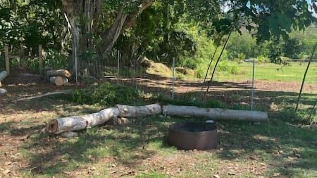 Photo of Outdoor in Laie
