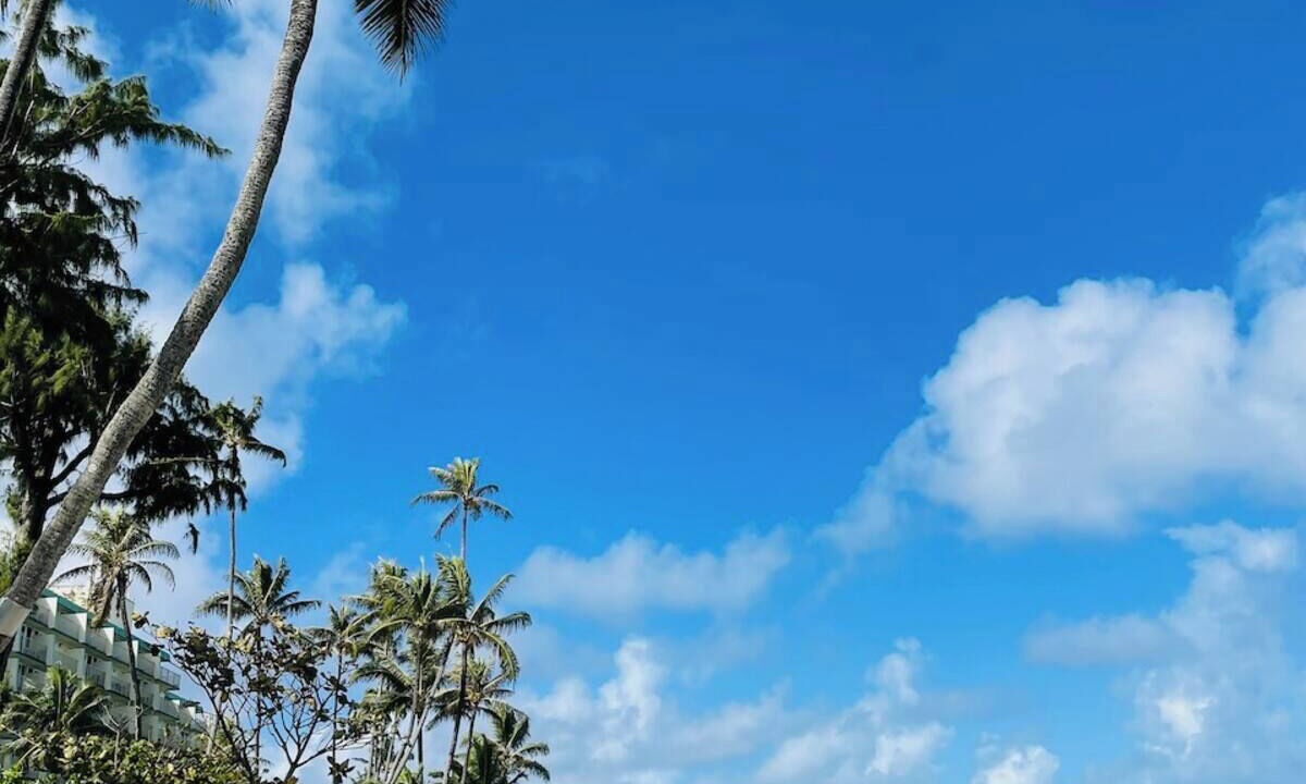 Photo of Others in Hauula