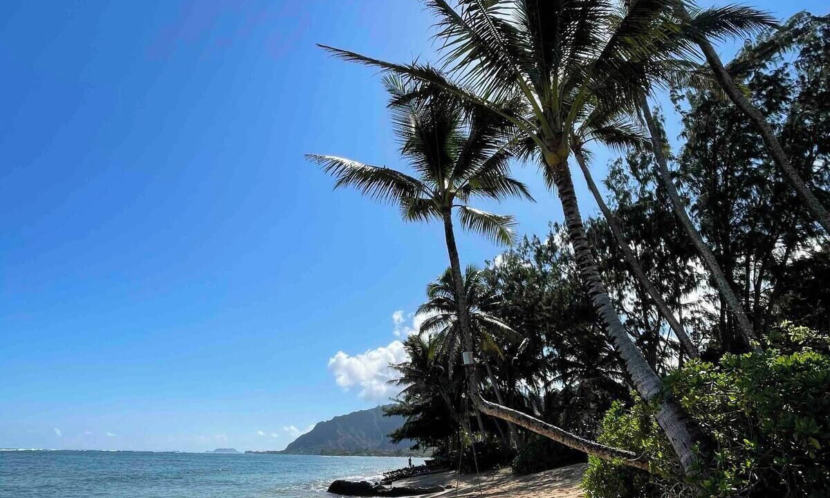 Photo of Others in Hauula