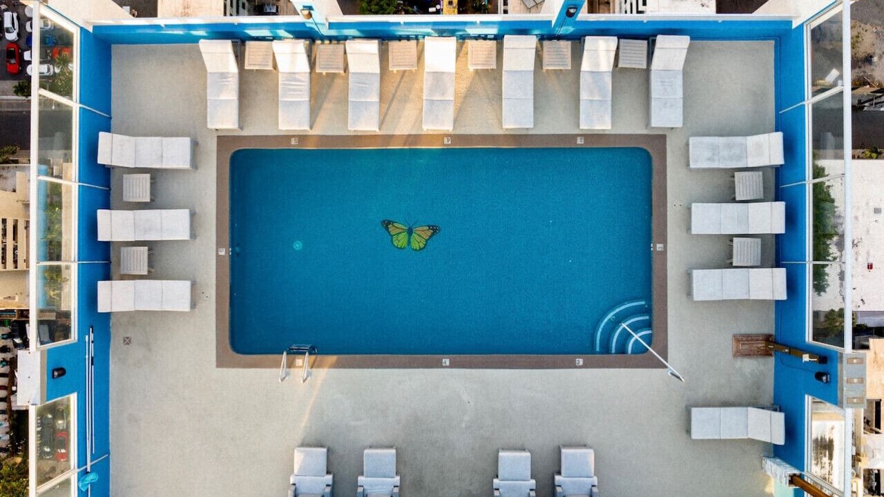 Photo of Outdoor in Diamond Head - Kapahulu - St. Louis