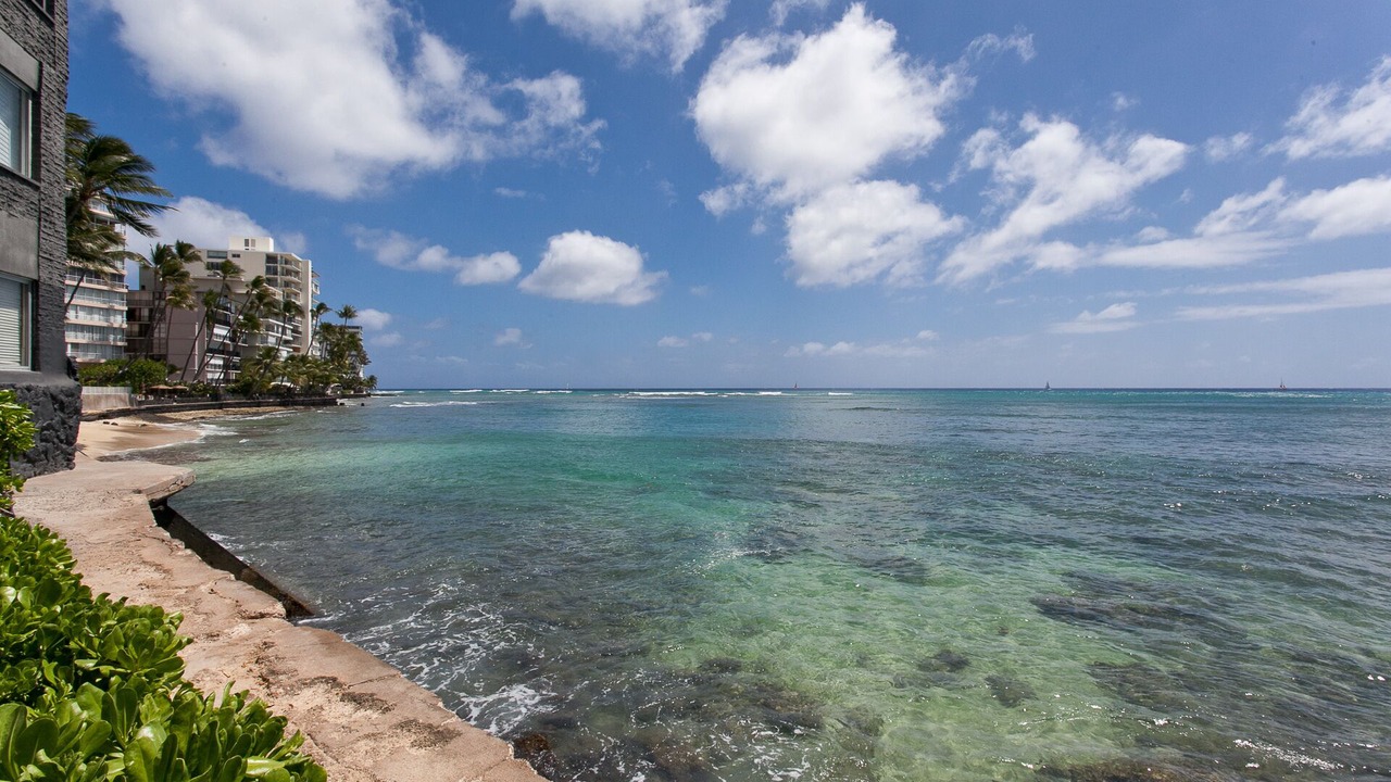 Photo of Others in Diamond Head - Kapahulu - St. Louis