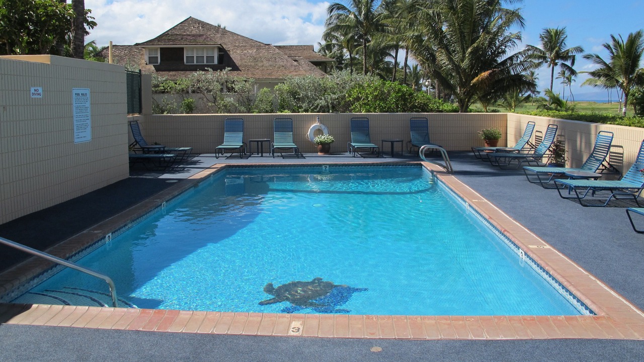 Photo of Outdoor in Kihei