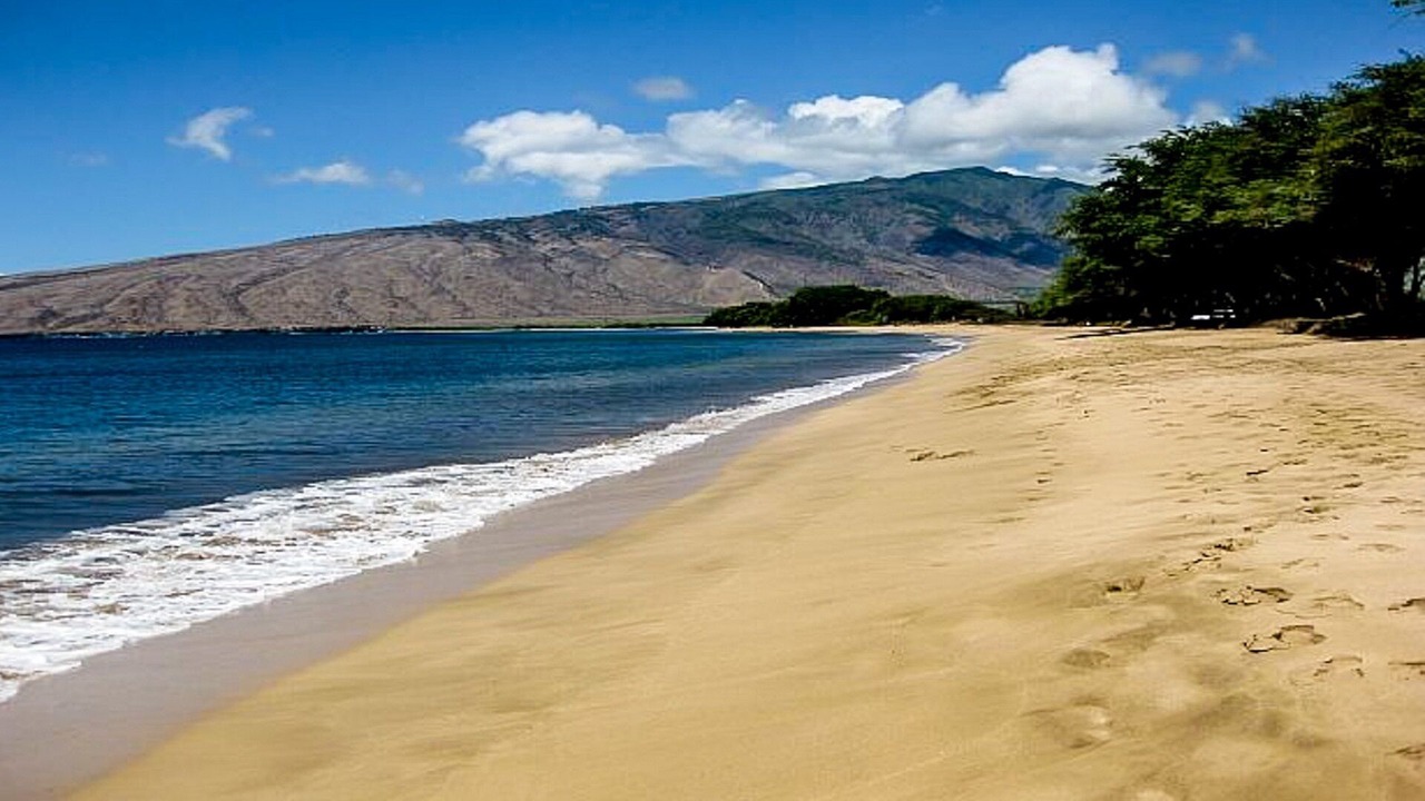 Photo of Others in Kihei