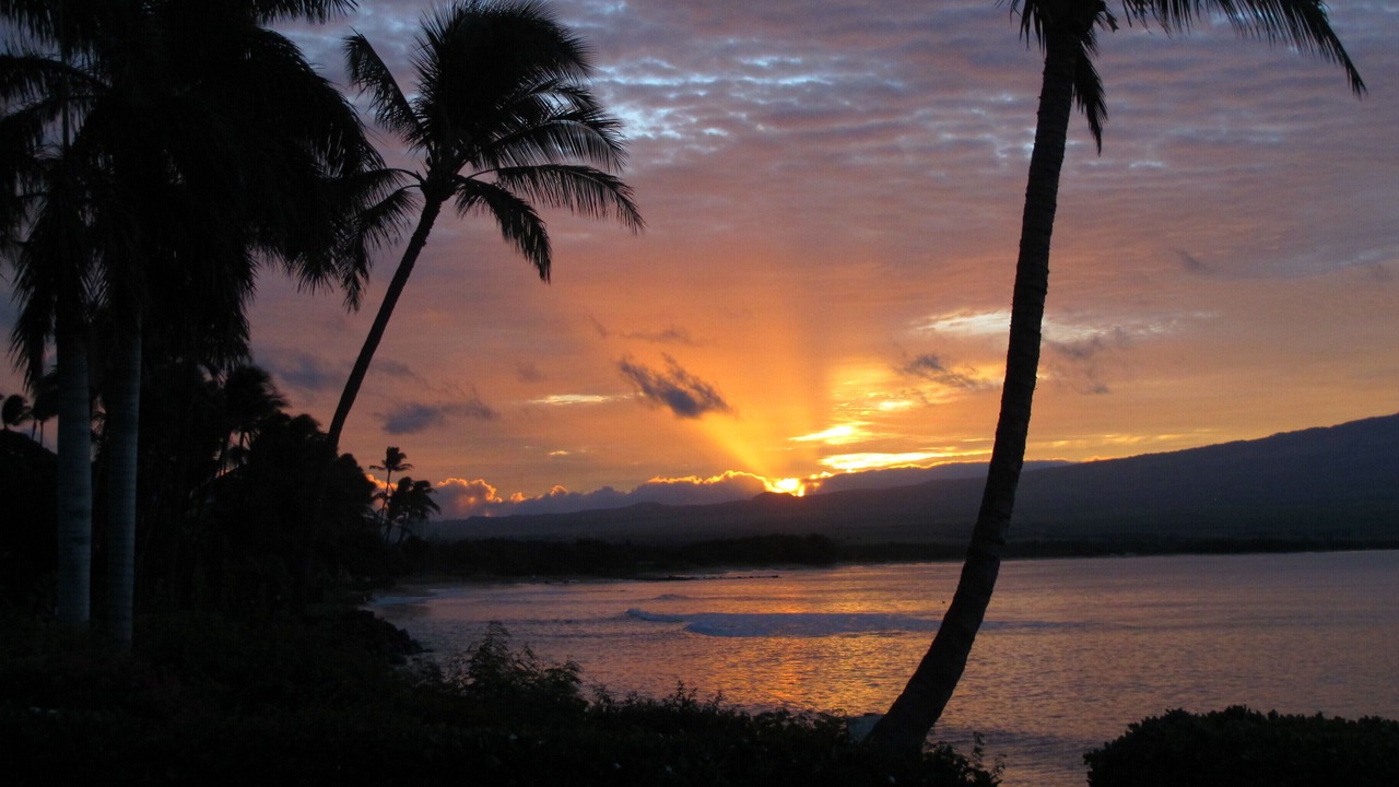 Photo of Others in Kihei