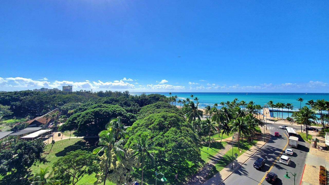 Photo of Others in Waikiki