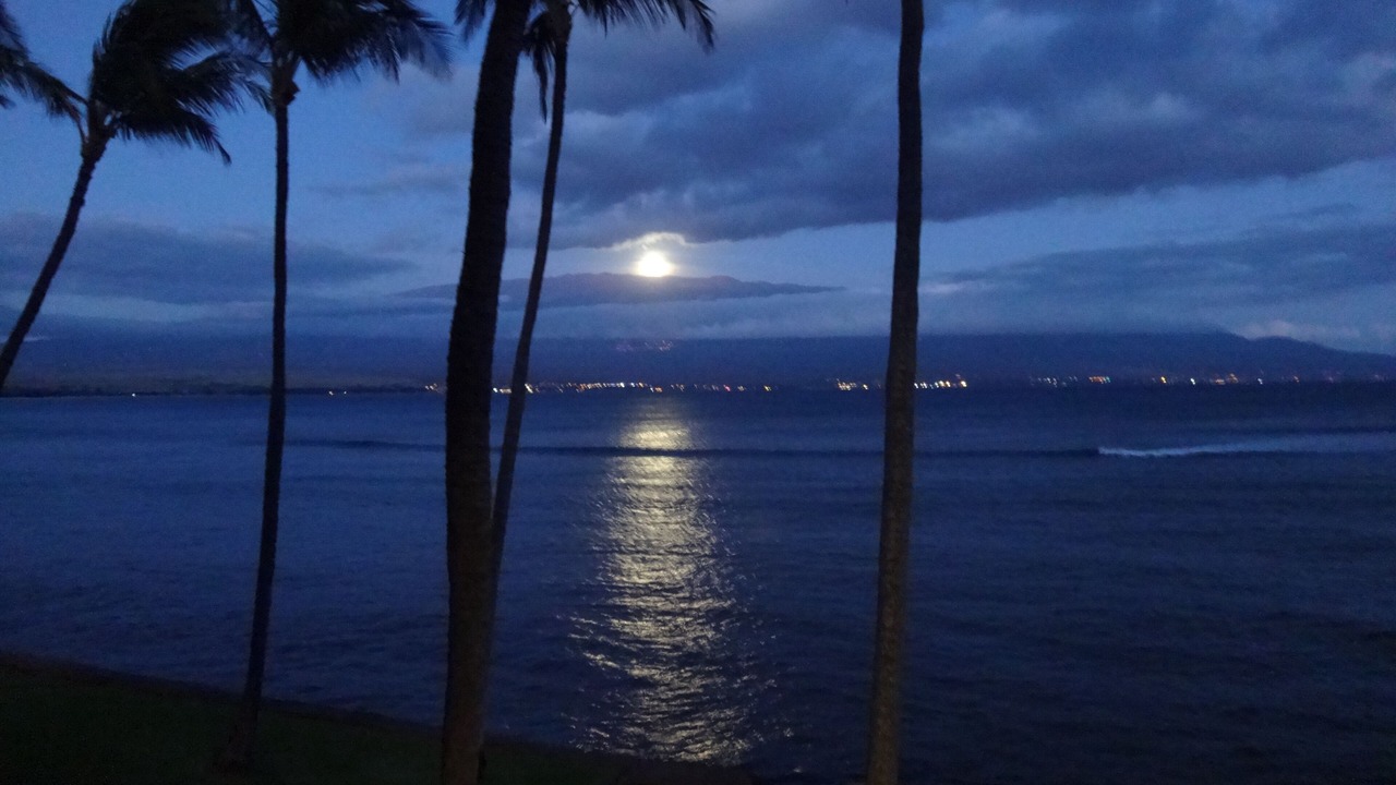 Photo of Others in Maalaea